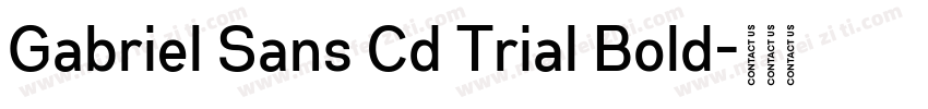 Gabriel Sans Cd Trial Bold字体转换